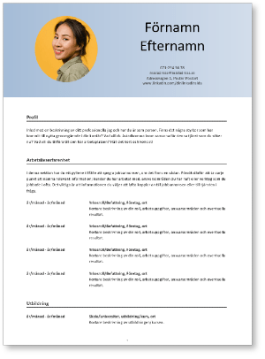 CV-mall från Jefferson Wells